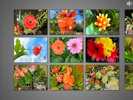 Ảnh chụp màn hình của Jigsaw Puzzles: Flower Quest iPad 
