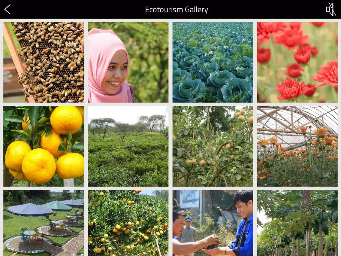 Скриншоты Beautiful Malang iPad 