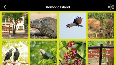 Komodo National Park應用截圖