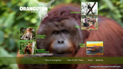 OrangUtan - Indonesia স্ক্রিনশট