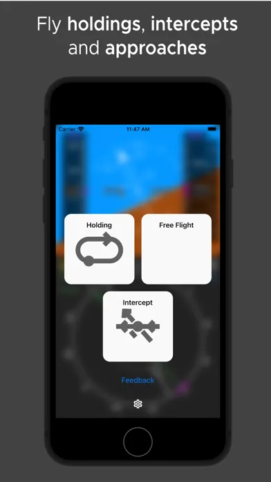 تصاویر IFR Flight Simulator