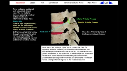 تصاویر Human Skeleton: Gross Anatomy
