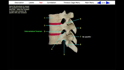تصاویر Human Skeleton: Gross Anatomy