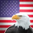 Wiki Bird: Bird sounds, identification, calls USA of North America free