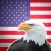 Wiki Bird: Bird sounds, identification, calls USA of North America free