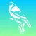 Bird Calls: SoundBoards of Chatter and Caller