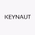 Keynaut ESP
