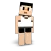 BlockheadsServer