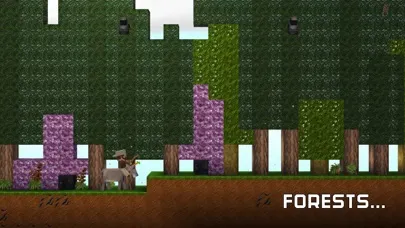 صور The Blockheads