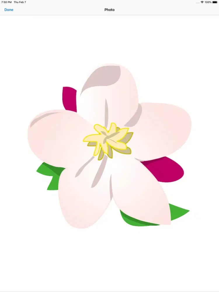 Capturas de pantalla de Apple Blossoms iPad 