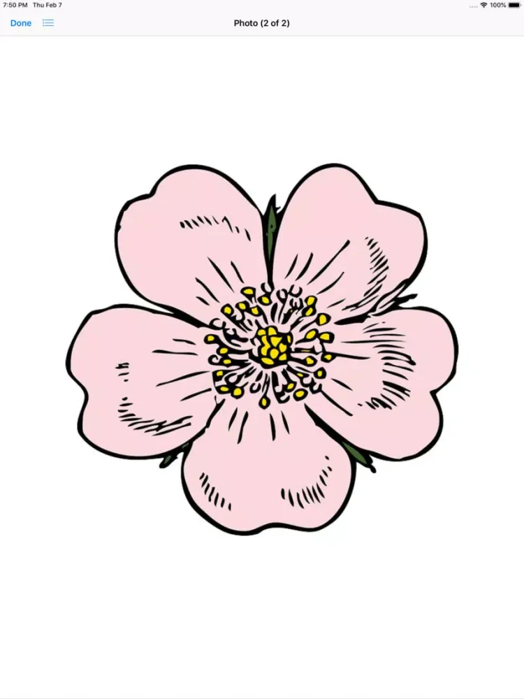 Capturas de pantalla de Apple Blossoms iPad 