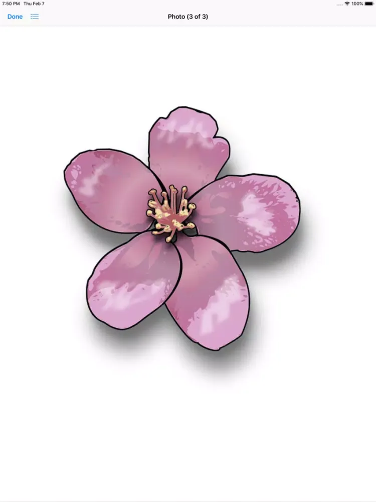 Capturas de pantalla de Apple Blossoms iPad 