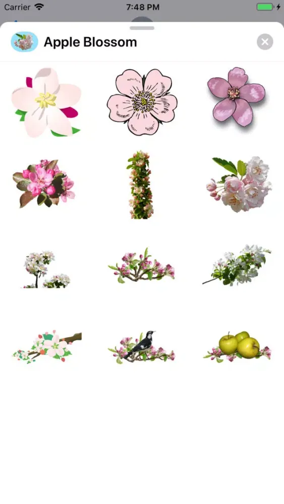 Capturas de pantalla de Apple Blossoms