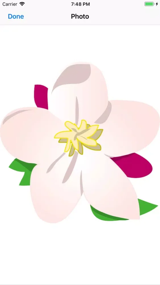Capturas de pantalla de Apple Blossoms
