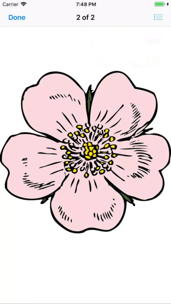 Capturas de pantalla de Apple Blossoms