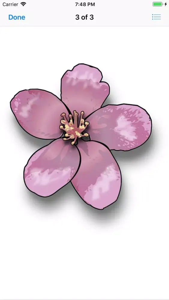 Capturas de pantalla de Apple Blossoms
