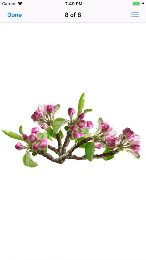 Capturas de pantalla de Apple Blossoms