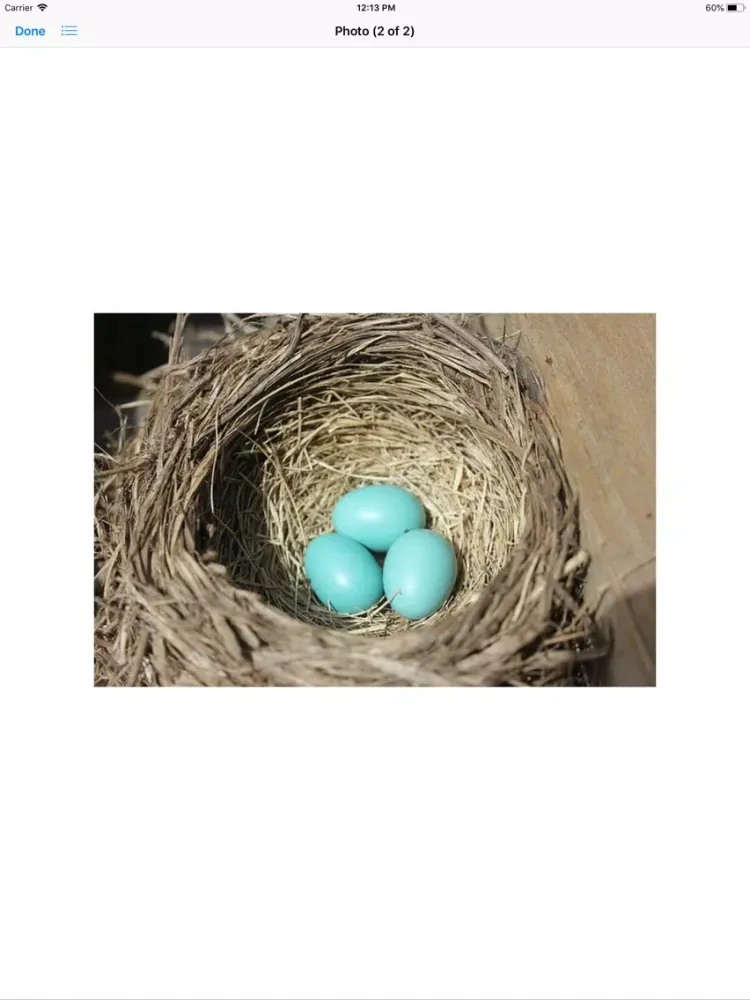 صور Birds Nest Sticker Pack iPad 