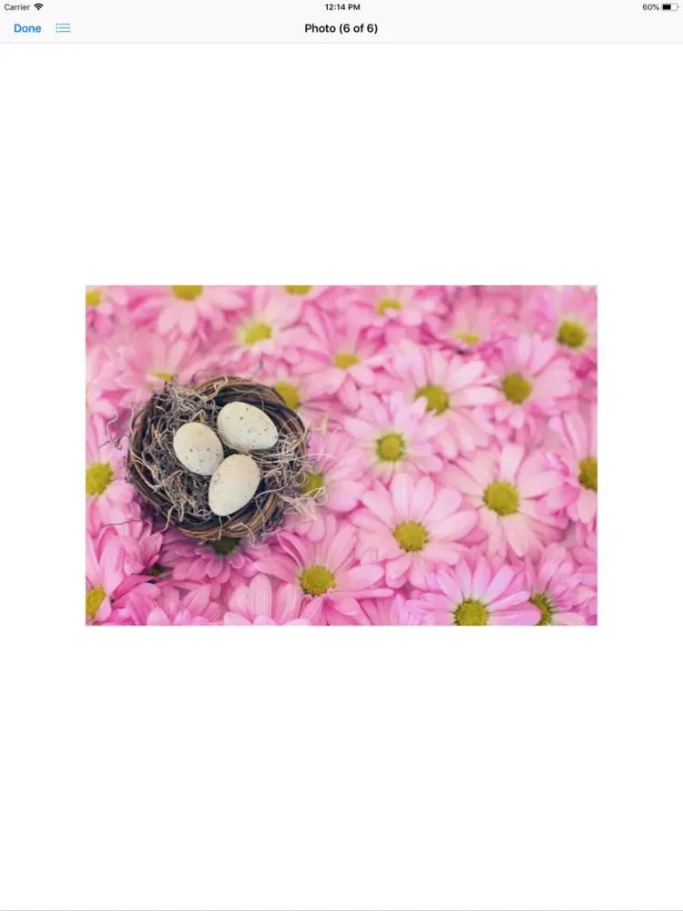 صور Birds Nest Sticker Pack iPad 