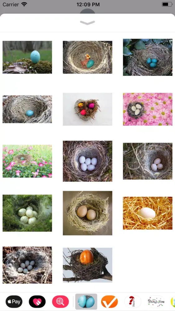 صور Birds Nest Sticker Pack