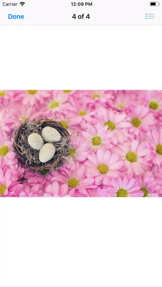 صور Birds Nest Sticker Pack