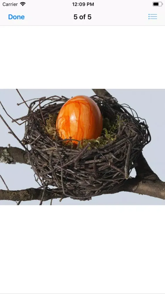 صور Birds Nest Sticker Pack