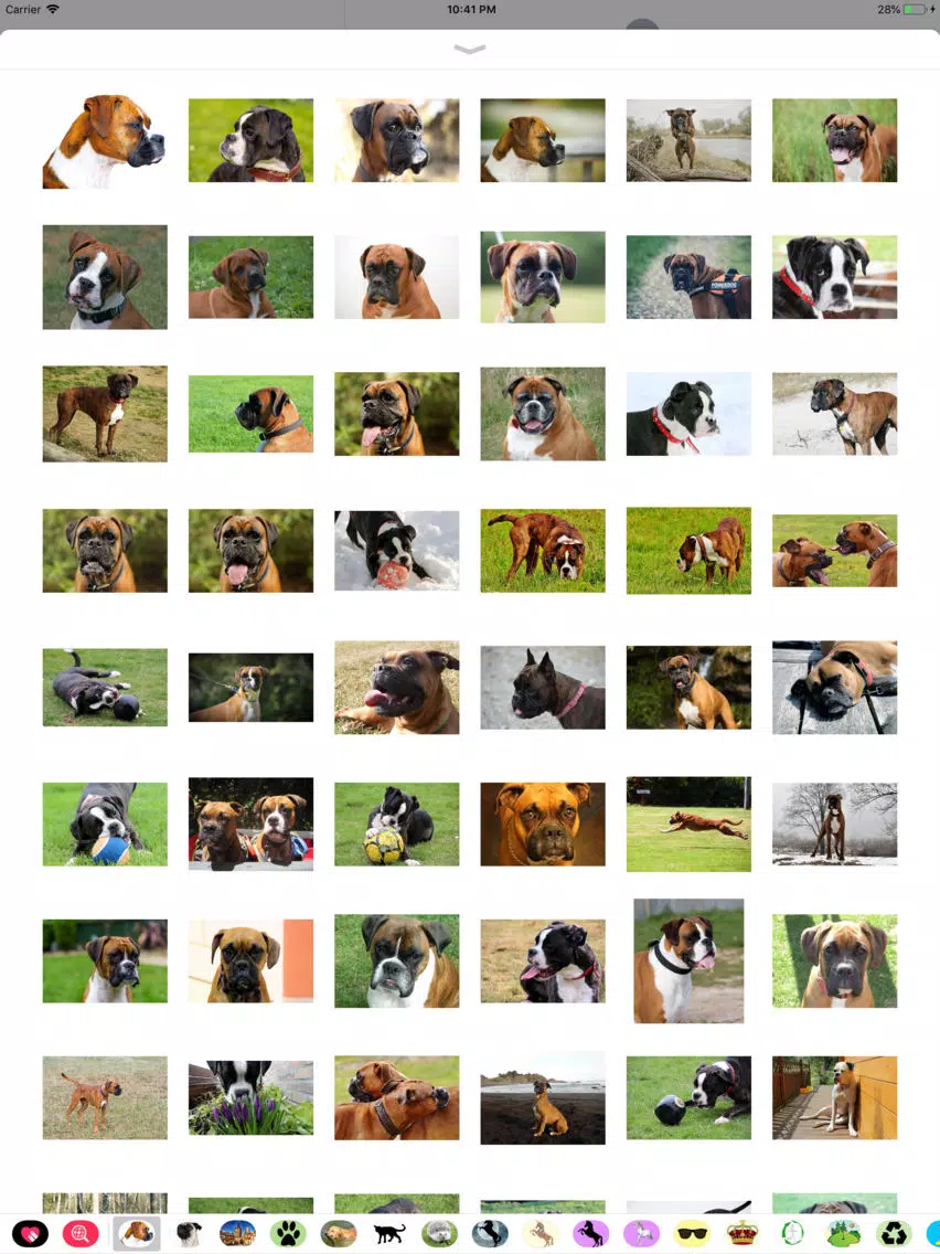 تصاویر Boxer Sticker Pack iPad 