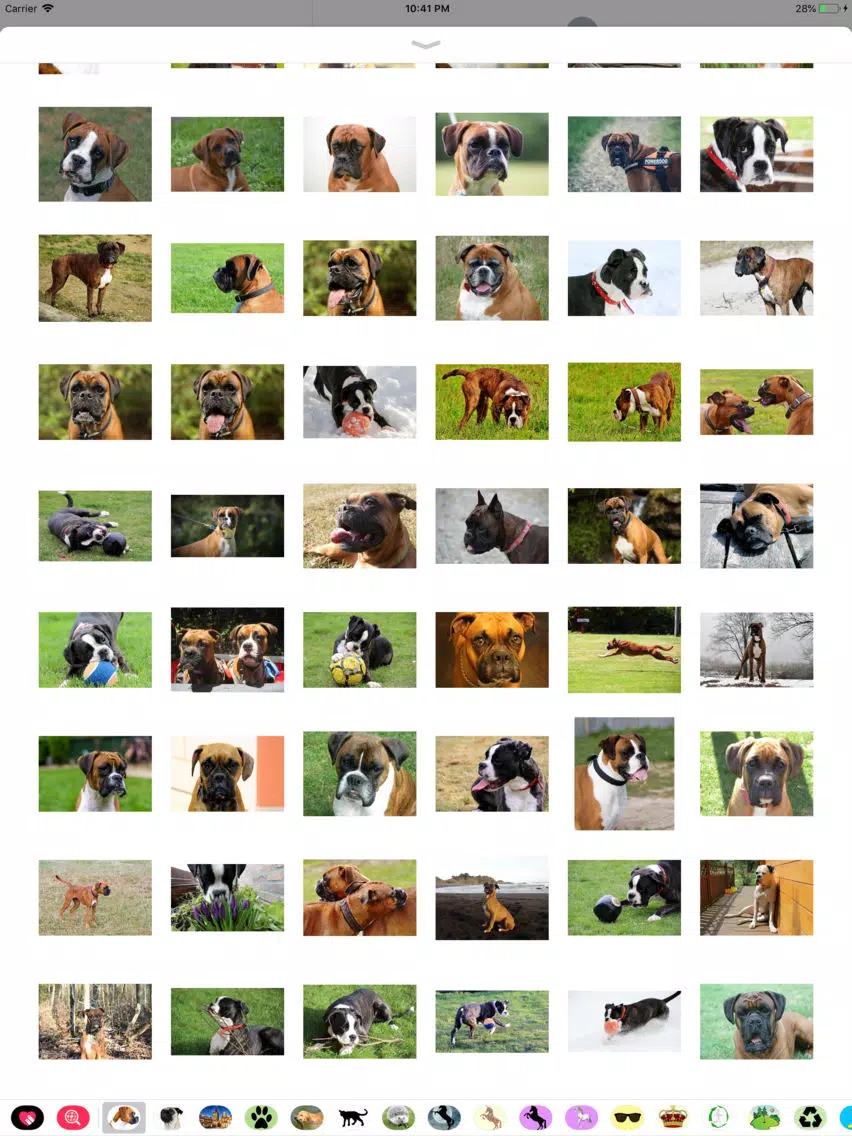 تصاویر Boxer Sticker Pack iPad 
