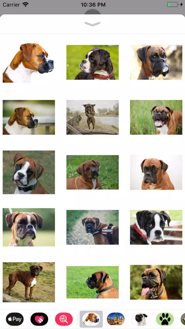 تصاویر Boxer Sticker Pack