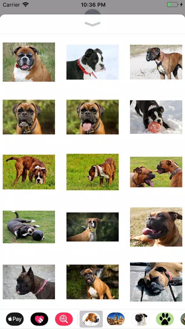 تصاویر Boxer Sticker Pack