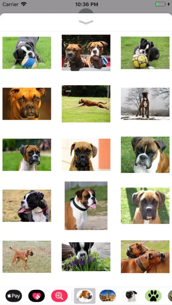 Screenshot di Boxer Sticker Pack