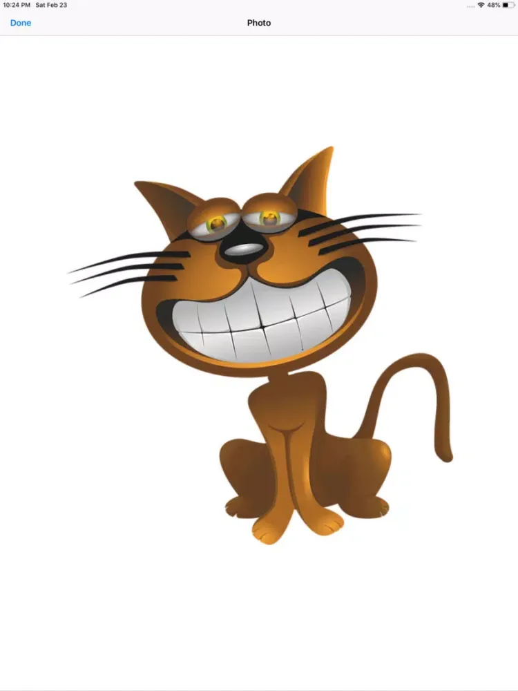ภาพหน้าจอของ Cat Graphics iPad 
