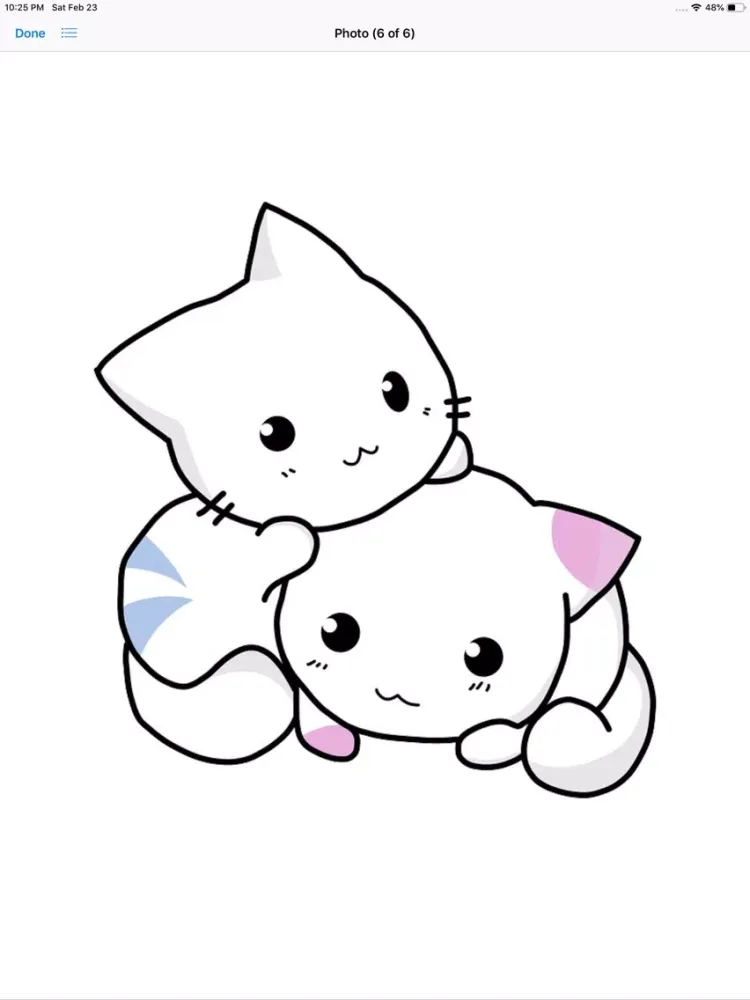 ภาพหน้าจอของ Cat Graphics iPad 