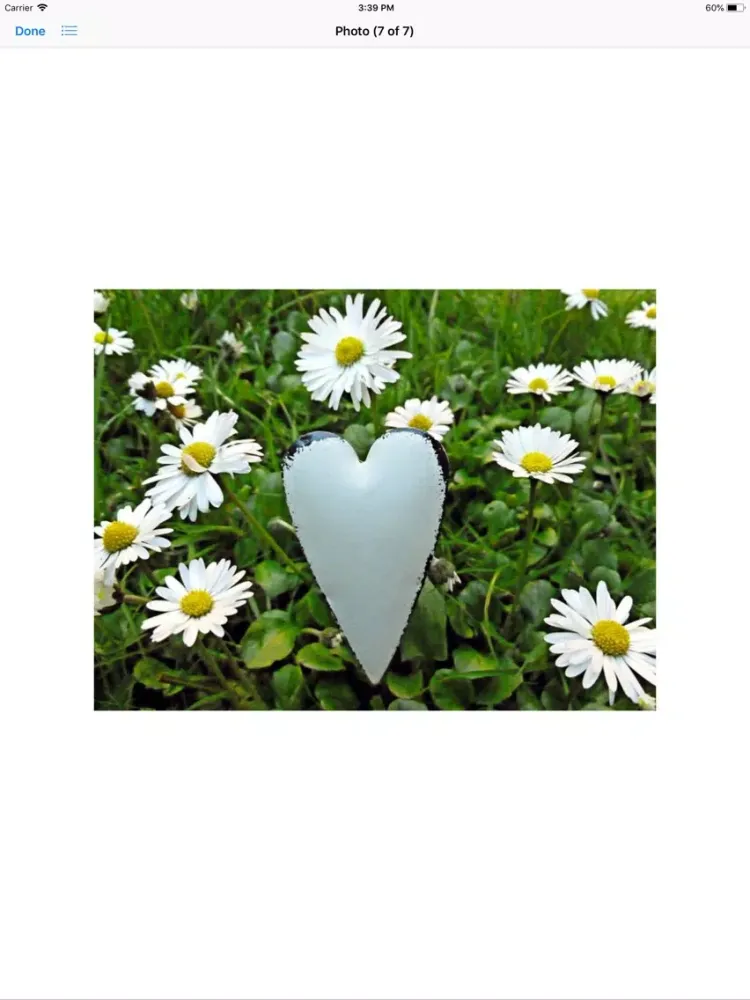Capturas de pantalla de Daisy Hearts Sticker Pack iPad 