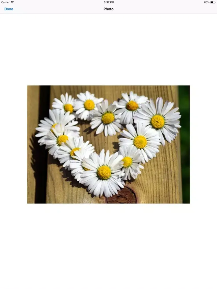 Capturas de pantalla de Daisy Hearts Sticker Pack iPad 