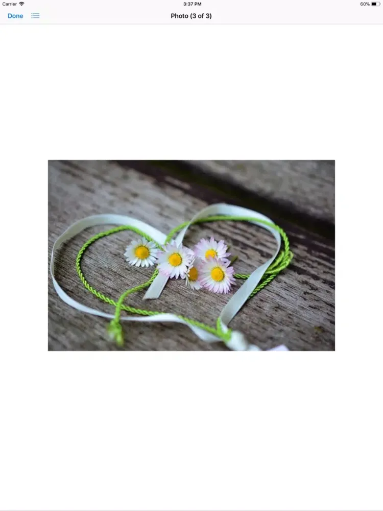 Capturas de pantalla de Daisy Hearts Sticker Pack iPad 