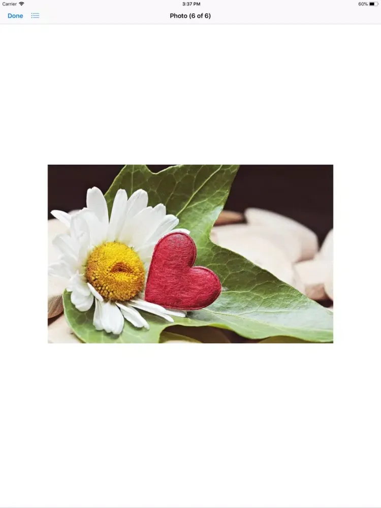 Capturas de pantalla de Daisy Hearts Sticker Pack iPad 