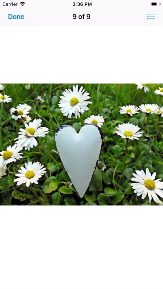 Capturas de pantalla de Daisy Hearts Sticker Pack