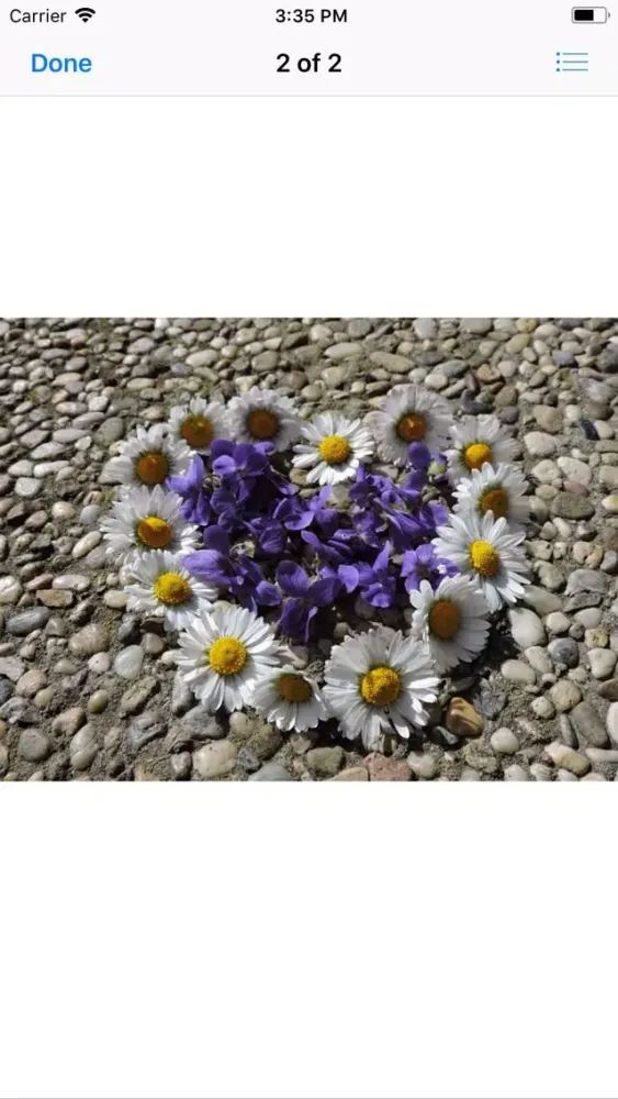 Capturas de pantalla de Daisy Hearts Sticker Pack