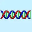 DNA Stickers