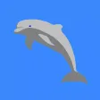 My Dolphin Sticker Pack My Dolphin Sticker Pack