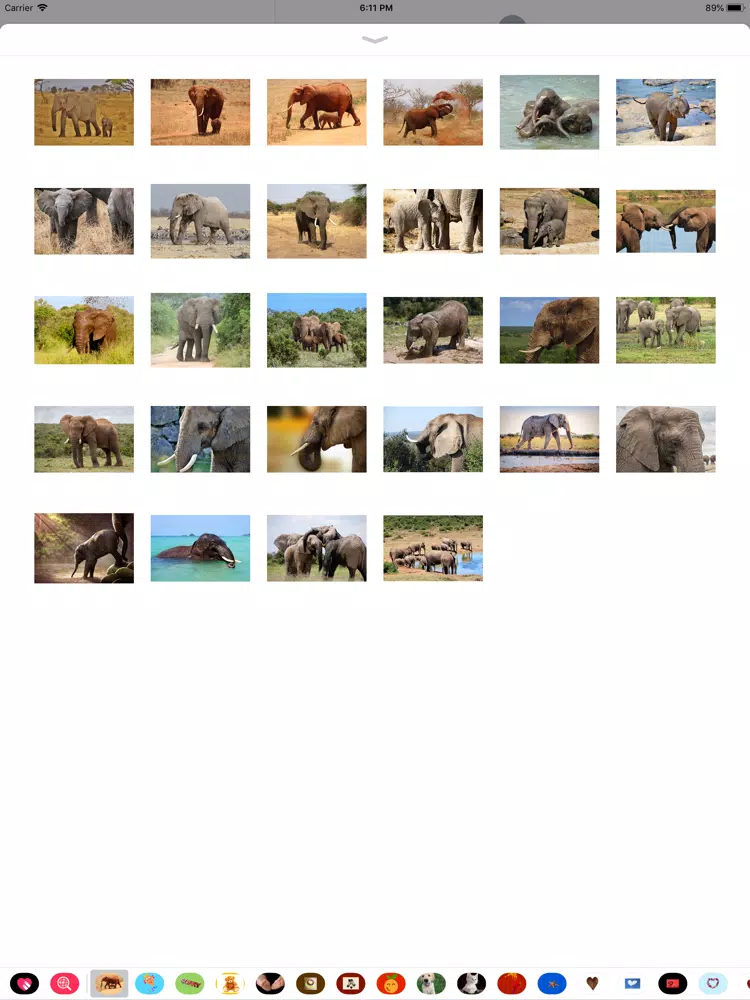 Capturas de tela do My Elephant Sticker Pack iPad 