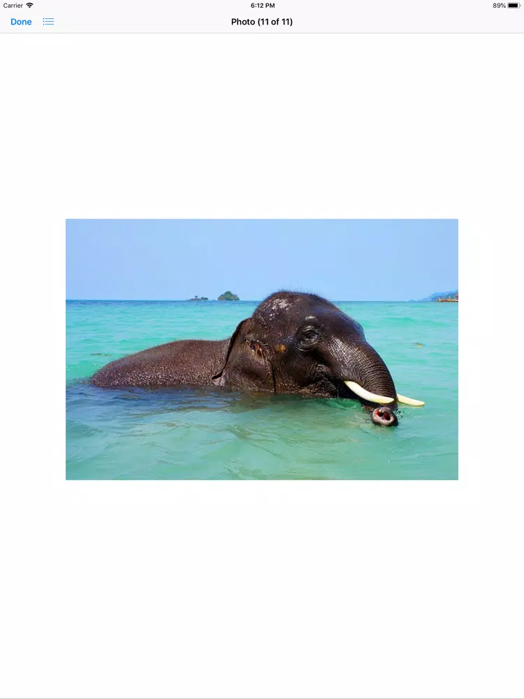 Capturas de tela do My Elephant Sticker Pack iPad 