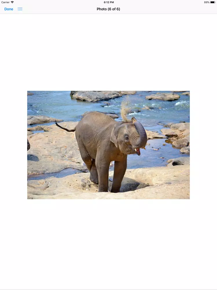 Capturas de tela do My Elephant Sticker Pack iPad 