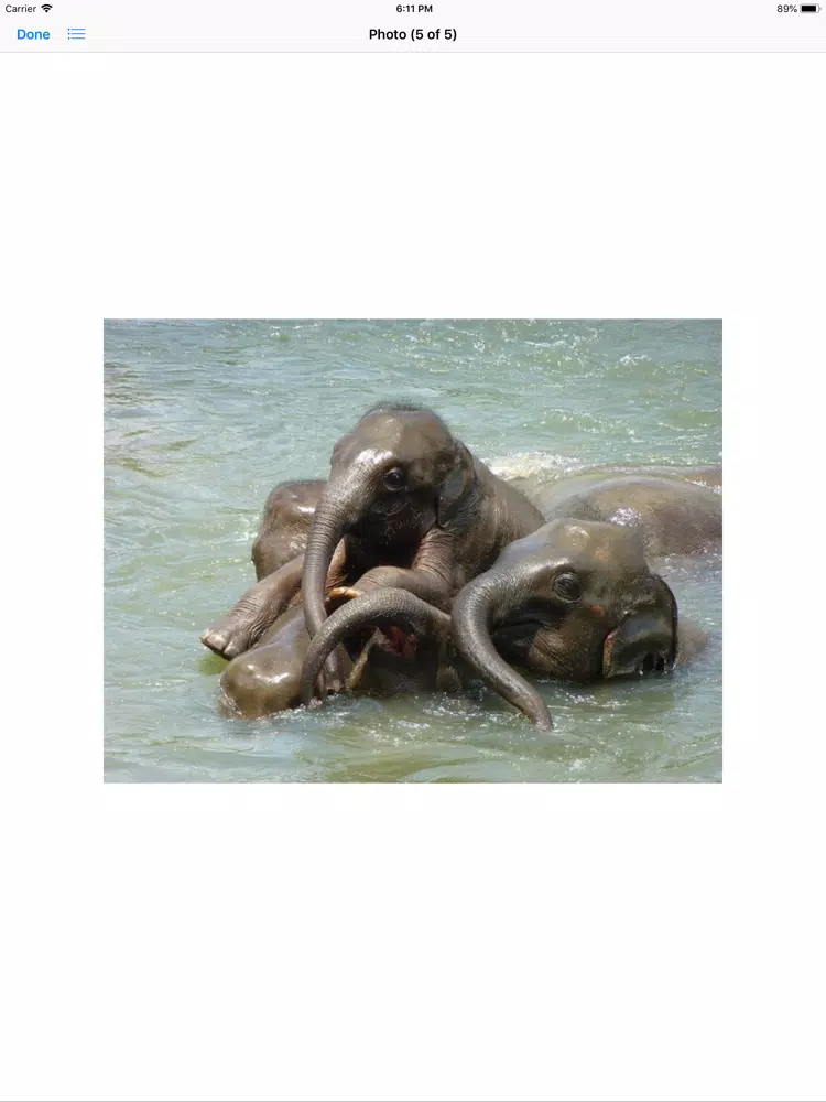 Capturas de tela do My Elephant Sticker Pack iPad 
