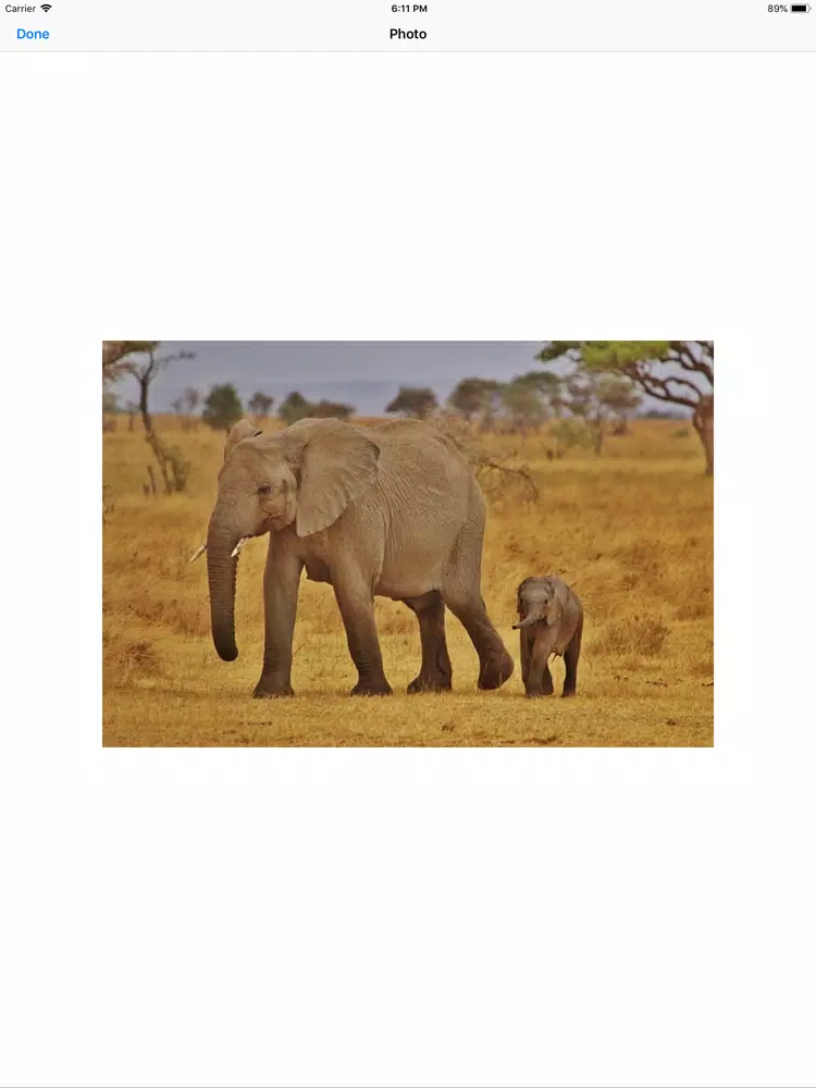 Capturas de tela do My Elephant Sticker Pack iPad 