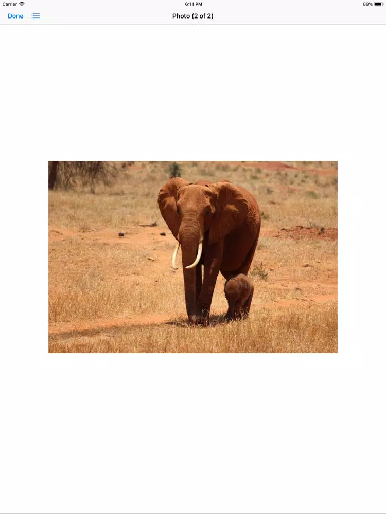 Capturas de tela do My Elephant Sticker Pack iPad 