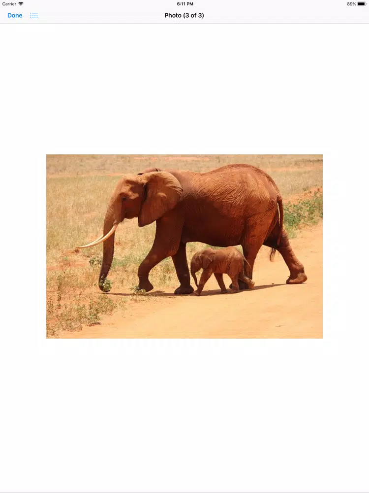 Capturas de tela do My Elephant Sticker Pack iPad 