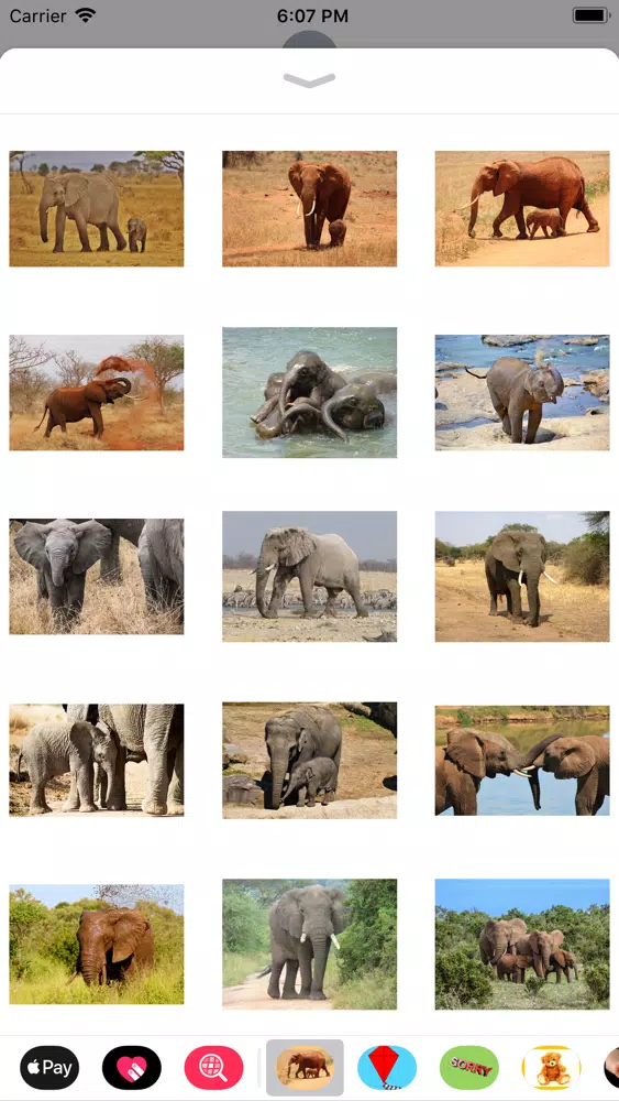 Capturas de tela do My Elephant Sticker Pack
