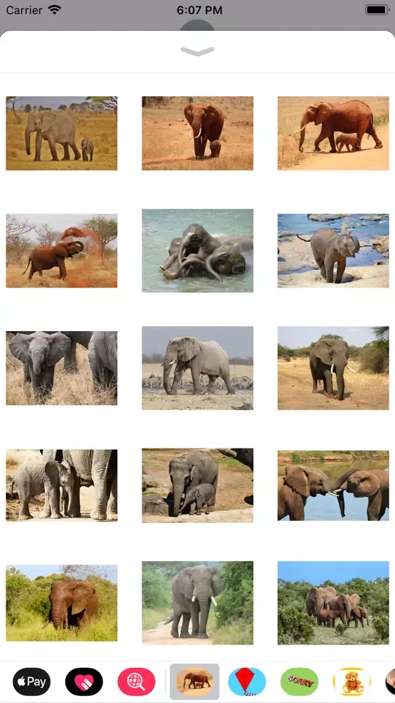 Capturas de pantalla de My Elephant Sticker Pack